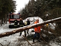 bild (26)